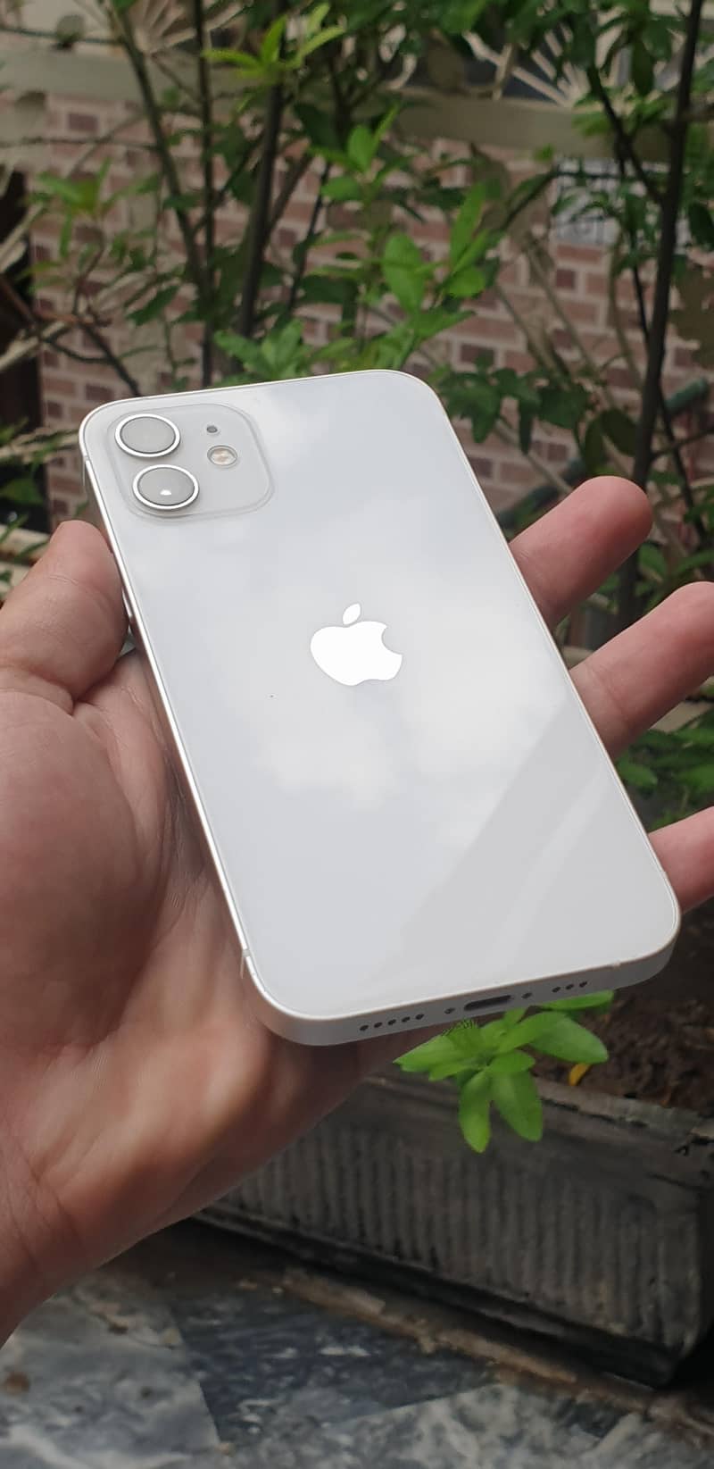 Apple iPhone 12 2