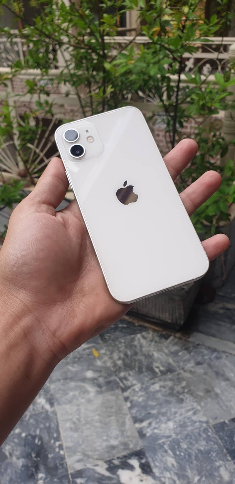 Apple iPhone 12 3