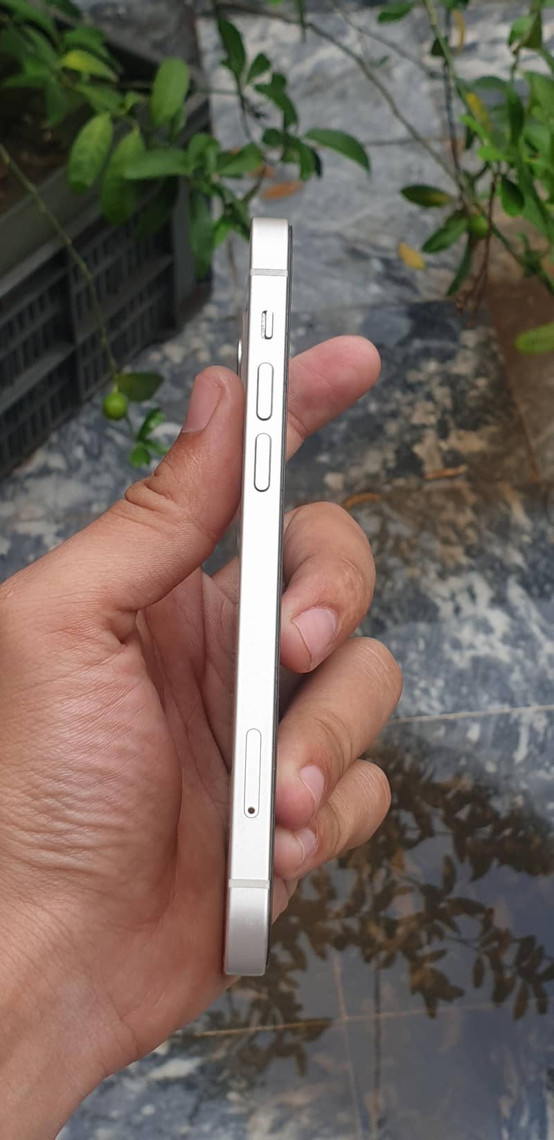 Apple iPhone 12 7