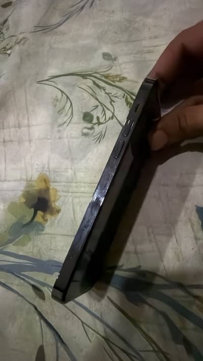 Apple iPhone 12 Pro