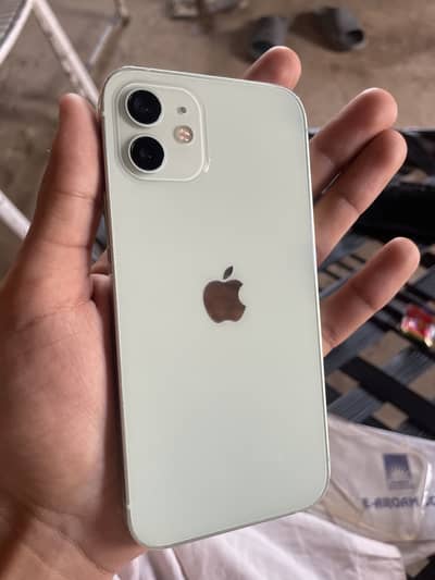 I phone 12