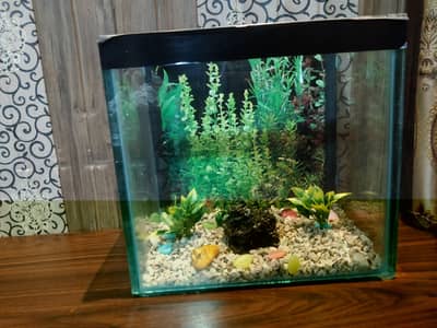 Aquarium with complete accessories