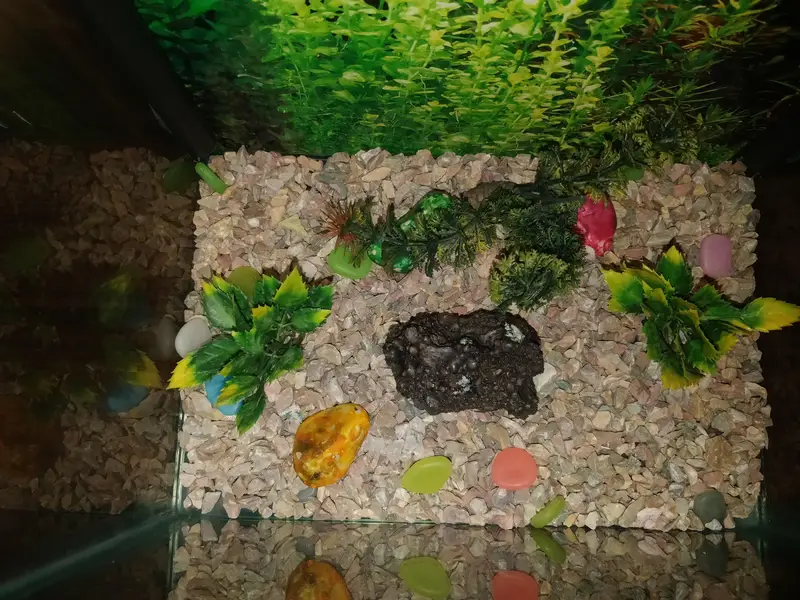 Aquarium with complete accessories — photo 3