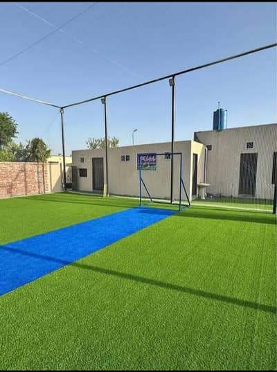 cricket arena net grass carpet