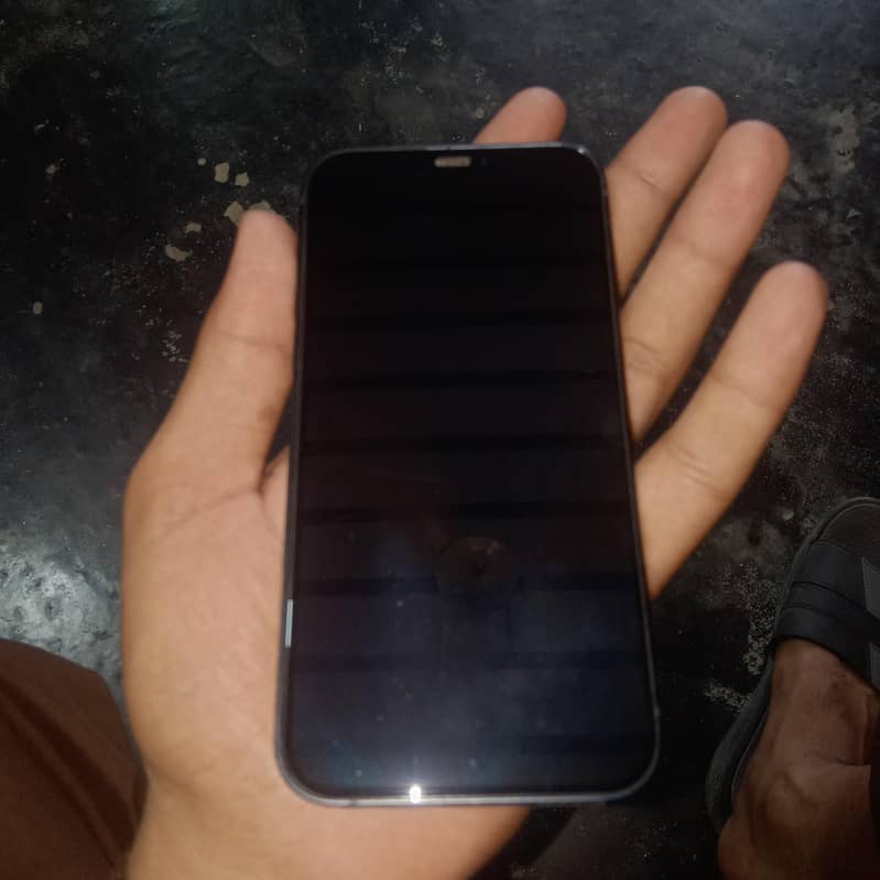 Apple iPhone 12 1