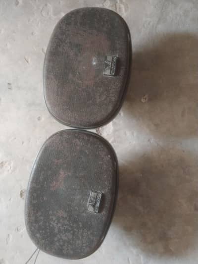 Kenwood Speaker