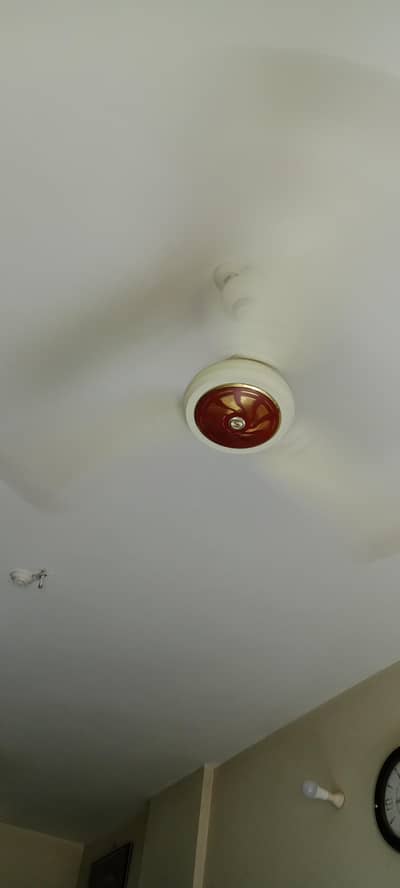 3 fans for sale