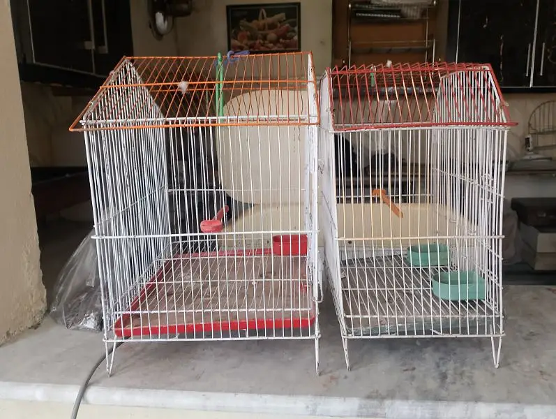 cages for sale — photo 2