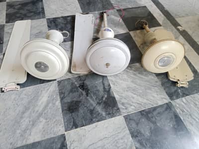 cellingfan