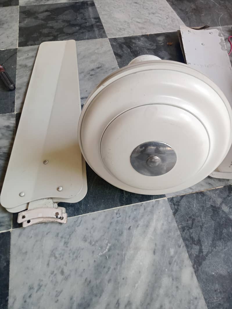 cellingfan 1