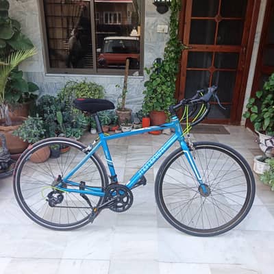 GIANT™ MOMENTUM R1 (IMPORTED) bicycle / roadbike 700c shimano tourney