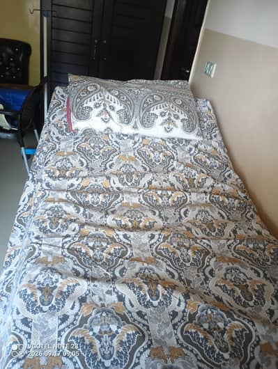 Hospital Bed double pulley system