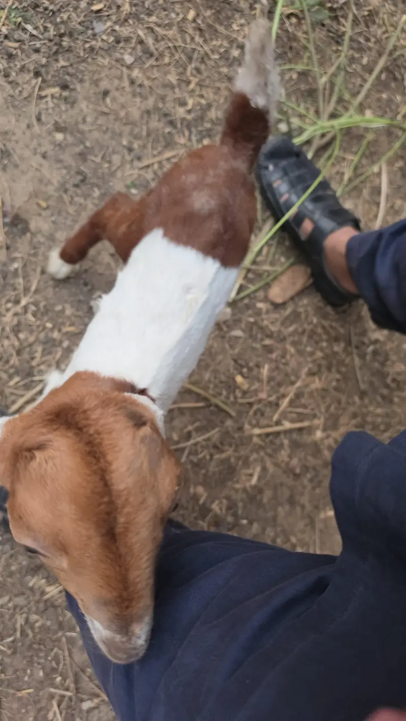 Bakri  and 2 kids — photo 2
