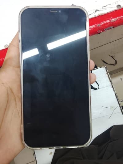 Apple iPhone 12 Pro Max