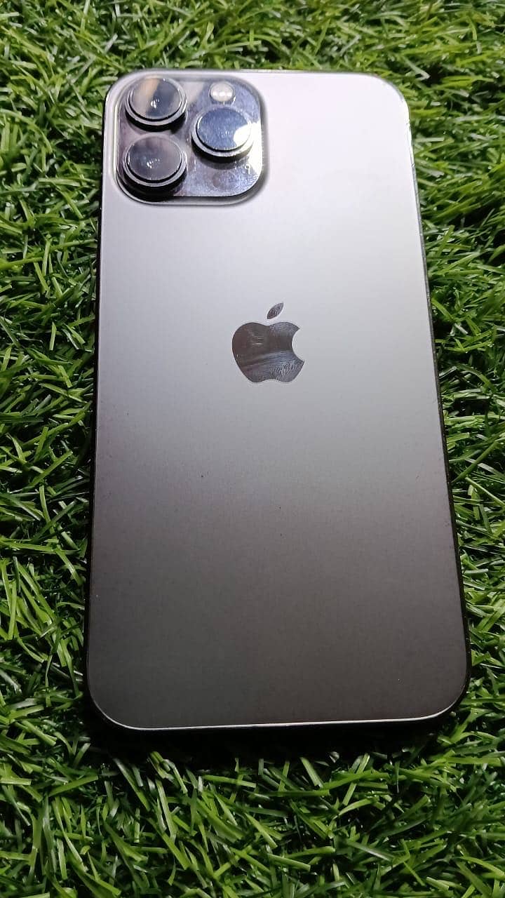 iPhone 13 Pro Max 1