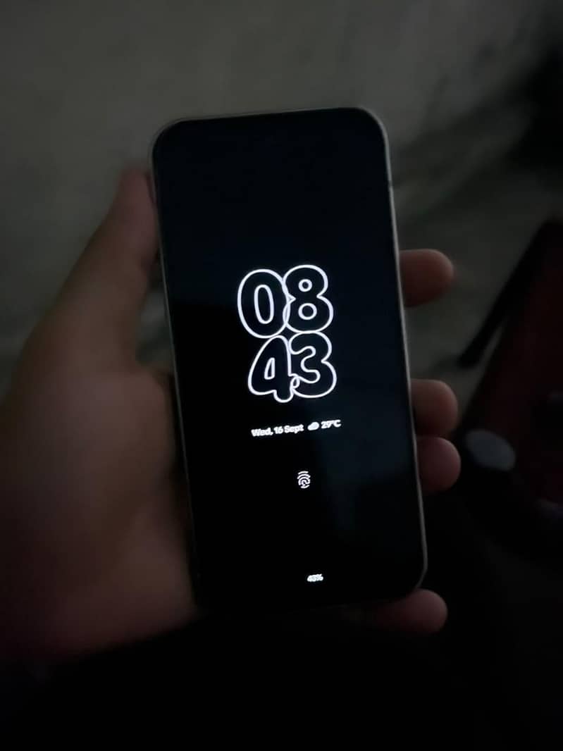 Google Pixel 9 1