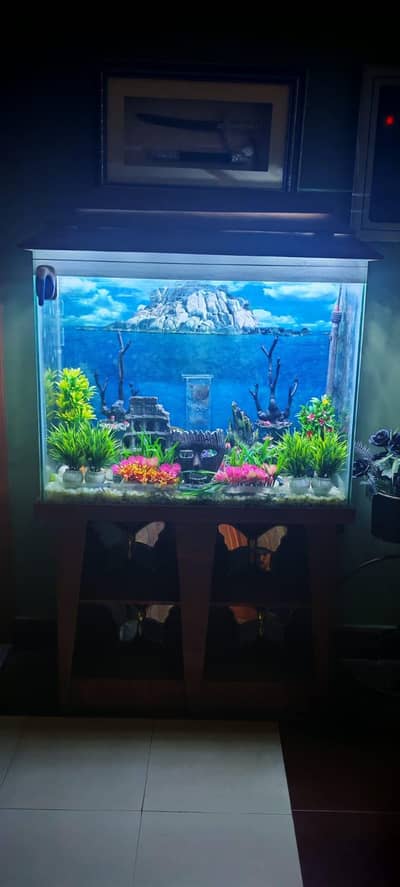 urgent sale aquarium zero damage zero leakage with all accessories for
