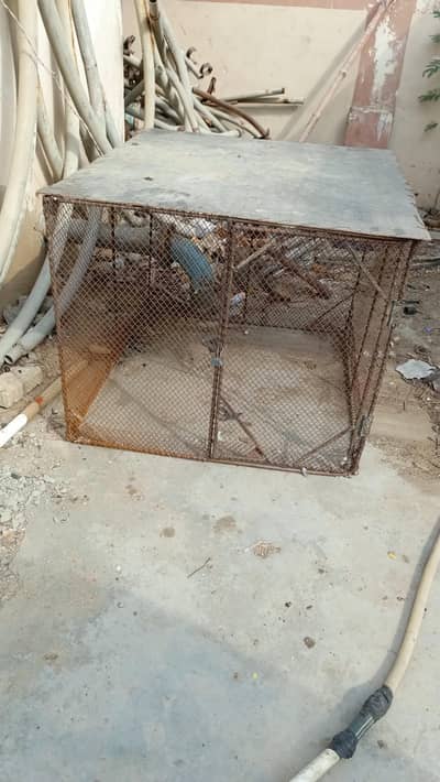 pingra cage
