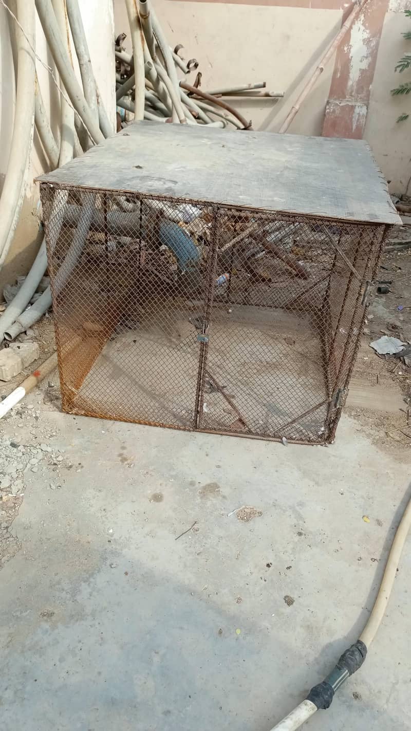 pingra cage 0