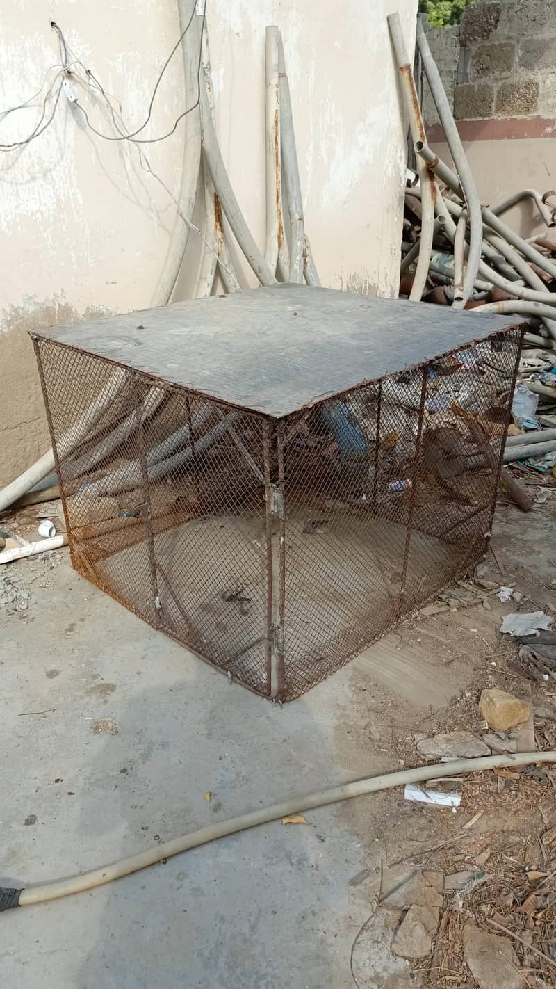 pingra cage 1