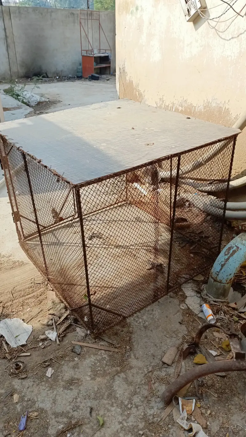 pingra cage — photo 3