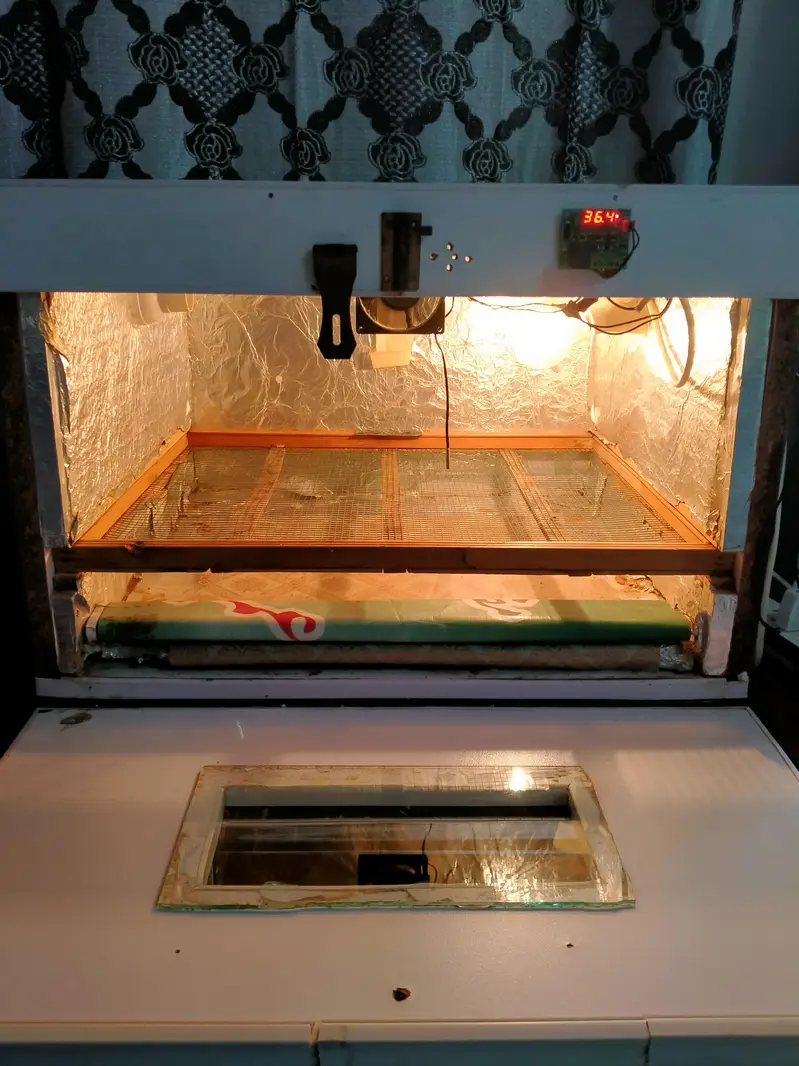 Manual eggs incubator — photo 2