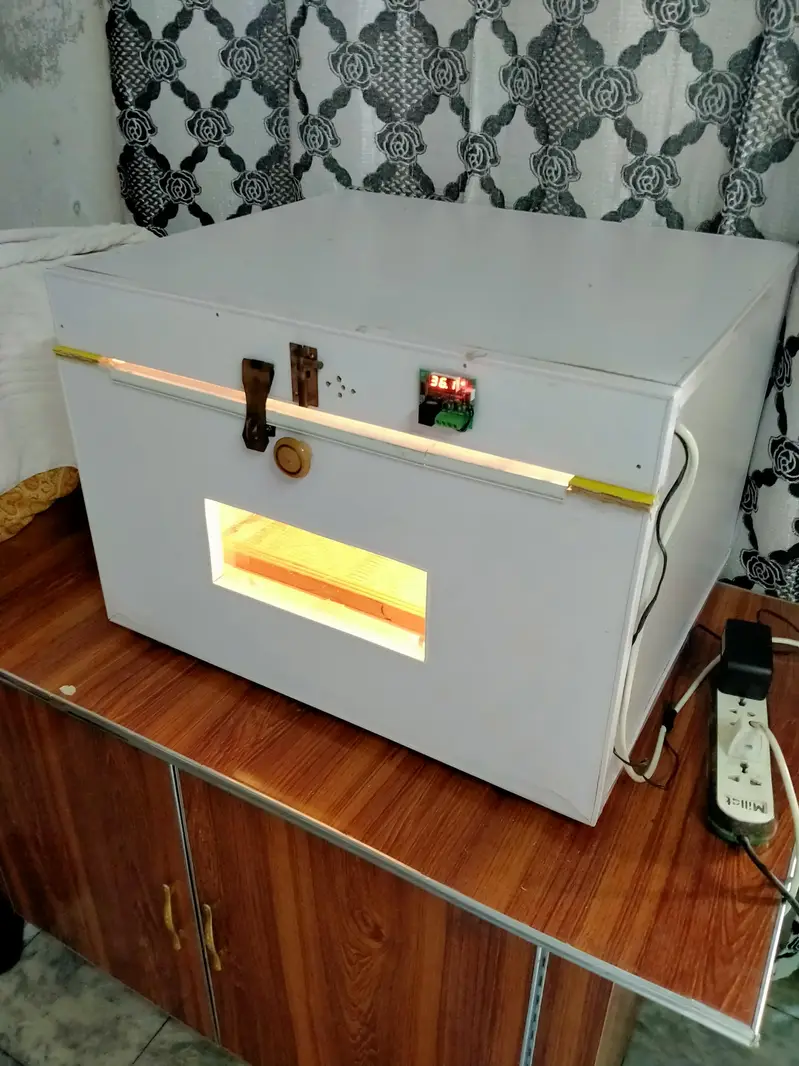Manual eggs incubator — photo 4