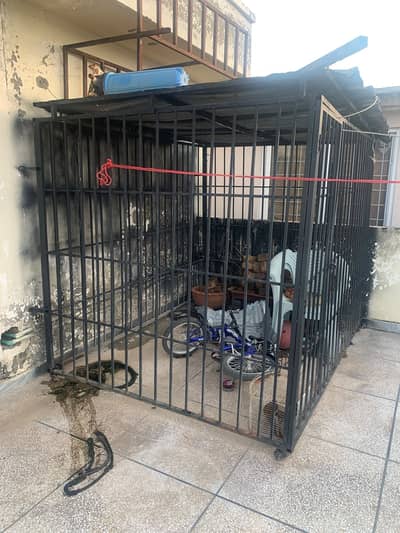 Very Large Heavy Iron Cage for Dogs & Large Animals