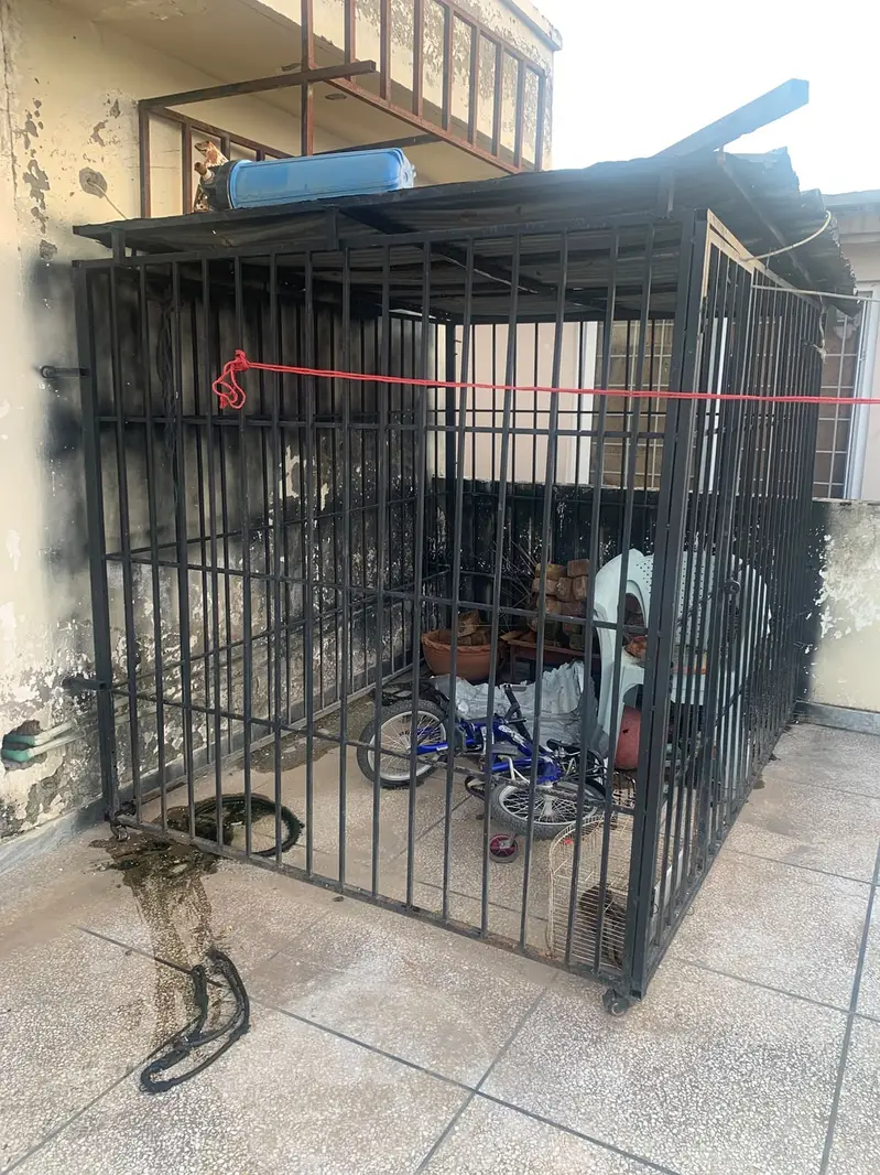 Very Large Heavy Iron Cage for Dogs & Large Animals