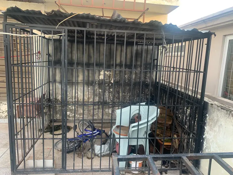 Very Large Heavy Iron Cage for Dogs & Large Animals — photo 2