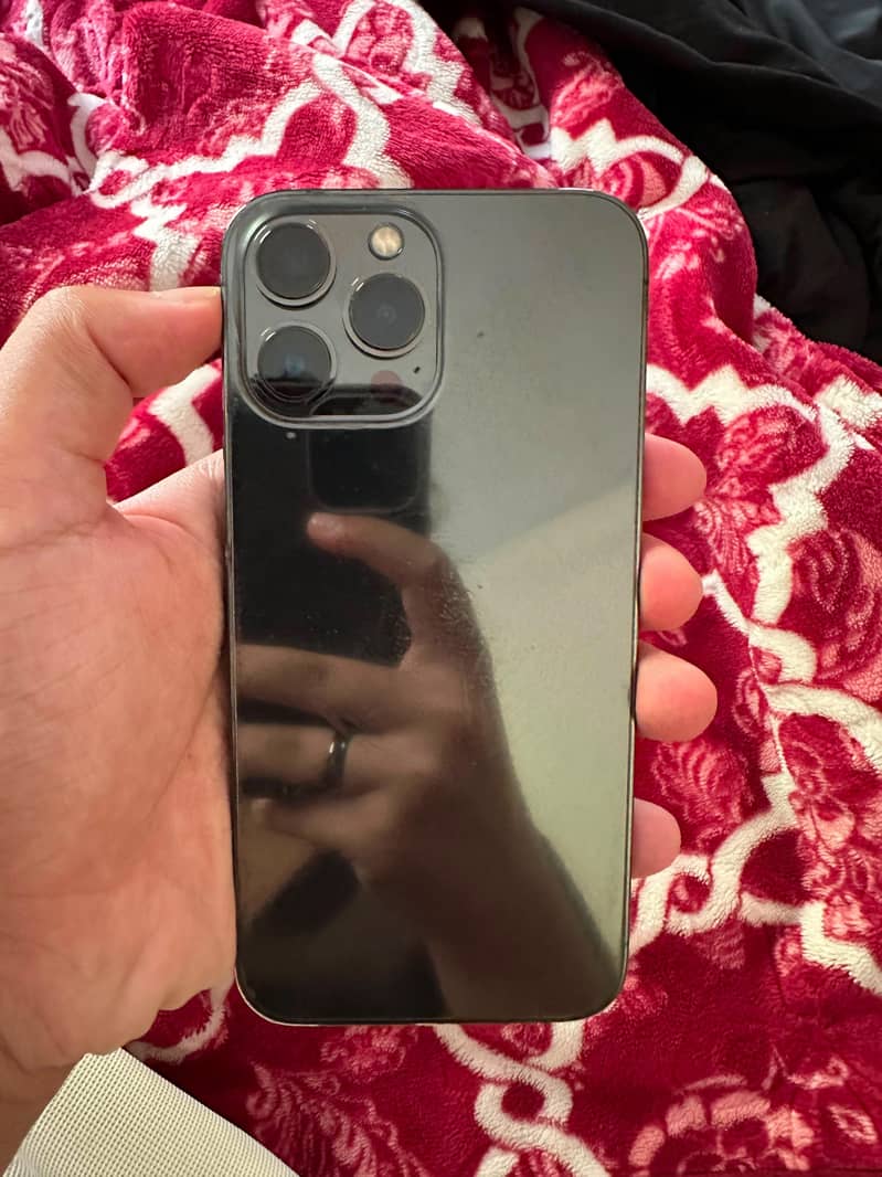 Apple iPhone 13 Pro Max 0