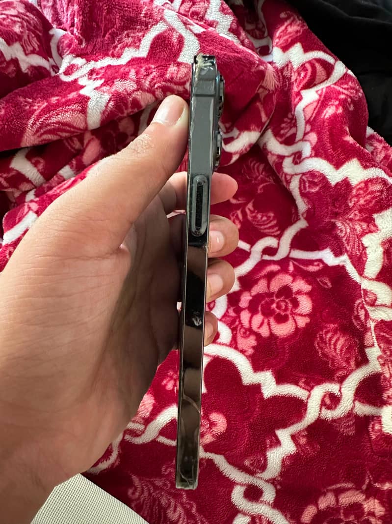Apple iPhone 13 Pro Max 2
