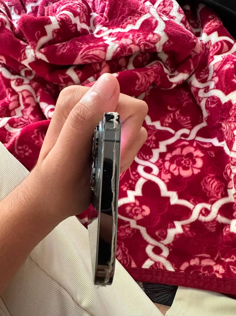 Apple iPhone 13 Pro Max 6