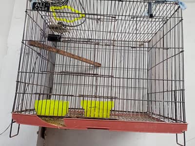 love birds cage for sale ha