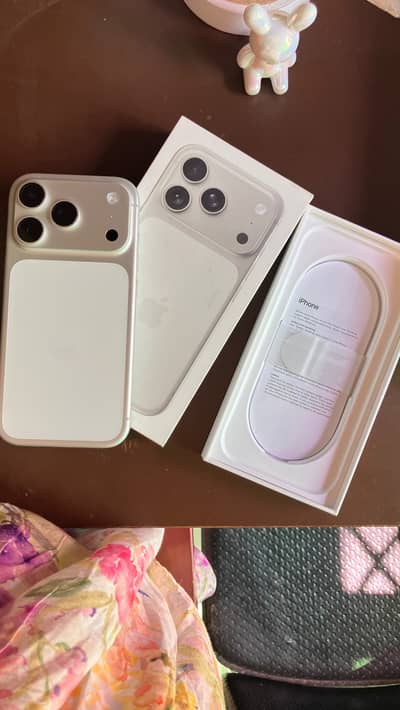 Apple iPhone 17 Pro 512 GB physical + eSIM silver