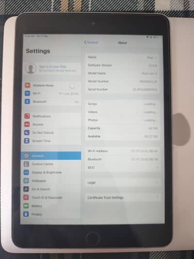 iPad mini 3