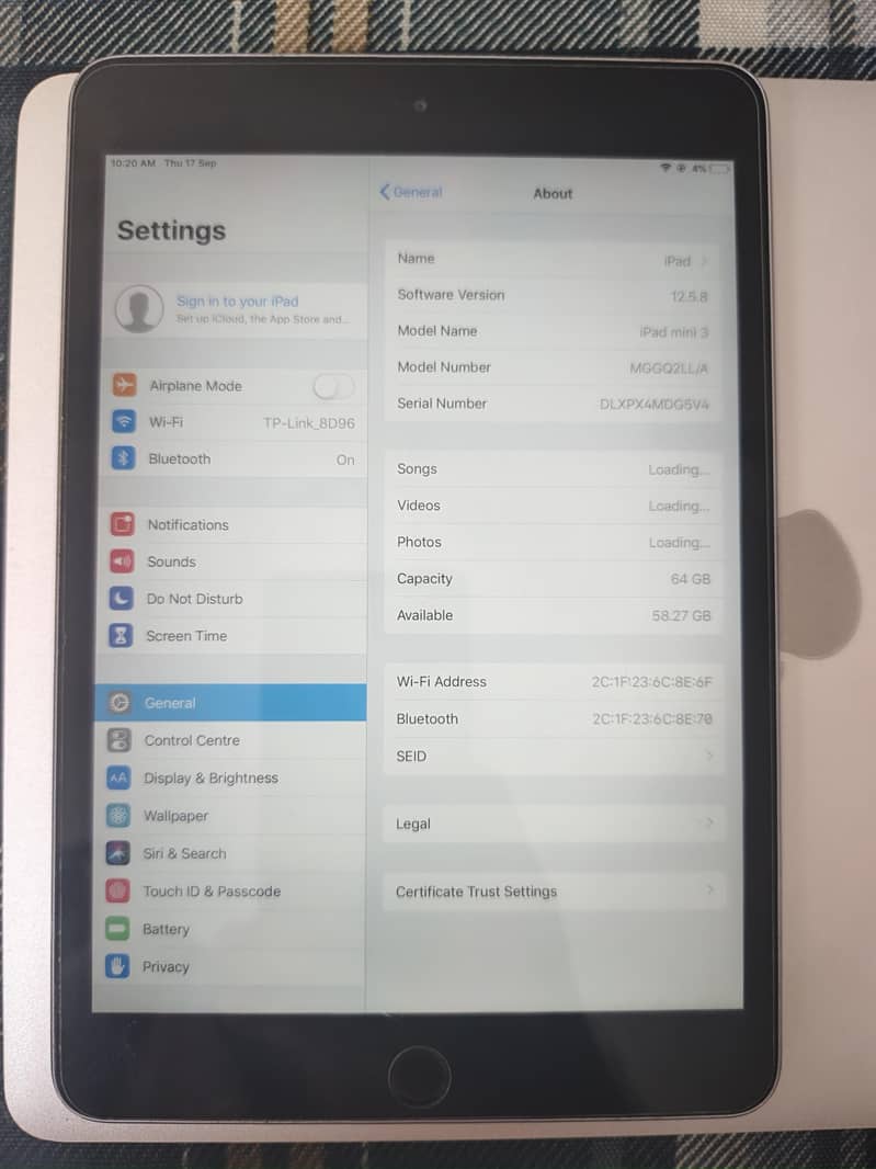 iPad mini 3 0