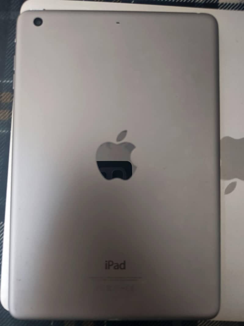 iPad mini 3 1
