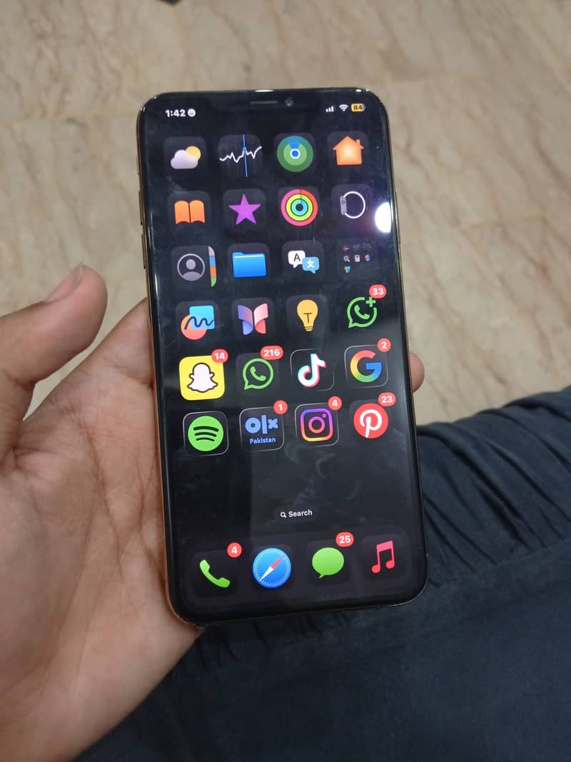 Apple iPhone XS Max 6
