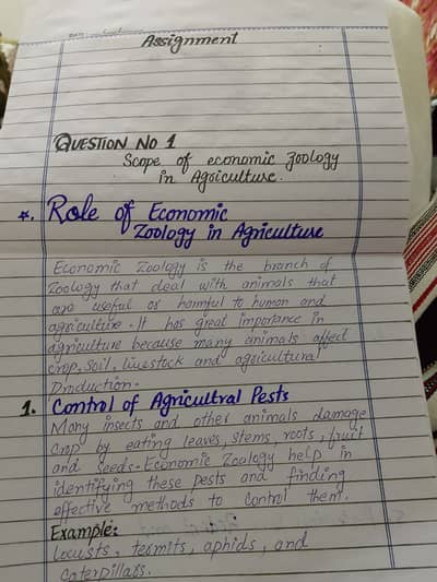 Professional Handwriting Work & Data Entry Services
