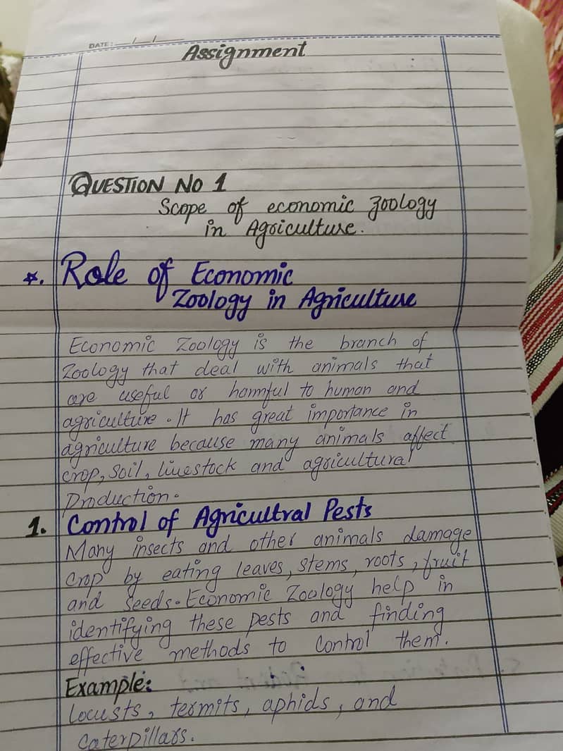 Professional Handwriting Work & Data Entry Services 0