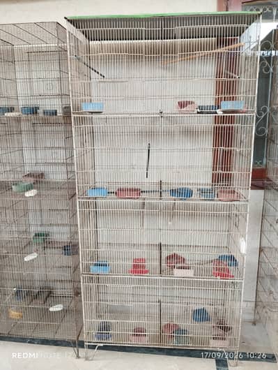 8-Portion Bird Cages | Special Offer