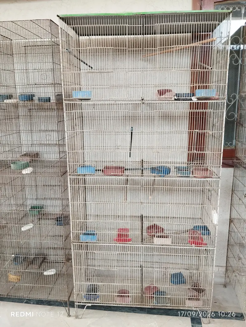 8-Portion Bird Cages | Special Offer