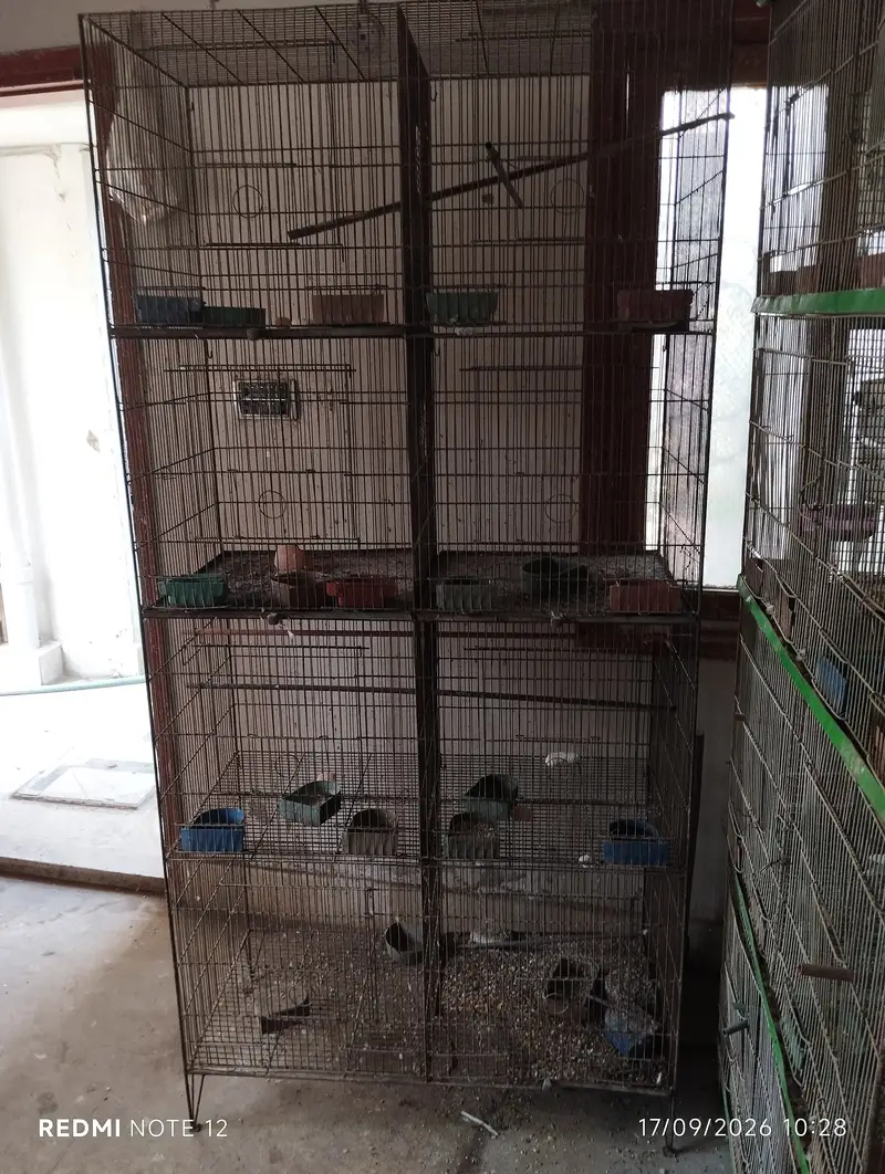 8-Portion Bird Cages | Special Offer — photo 2