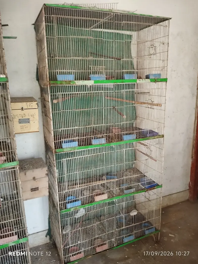 8-Portion Bird Cages | Special Offer — photo 3