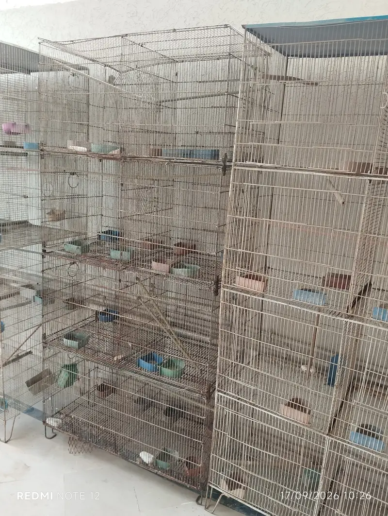 8-Portion Bird Cages | Special Offer — photo 5