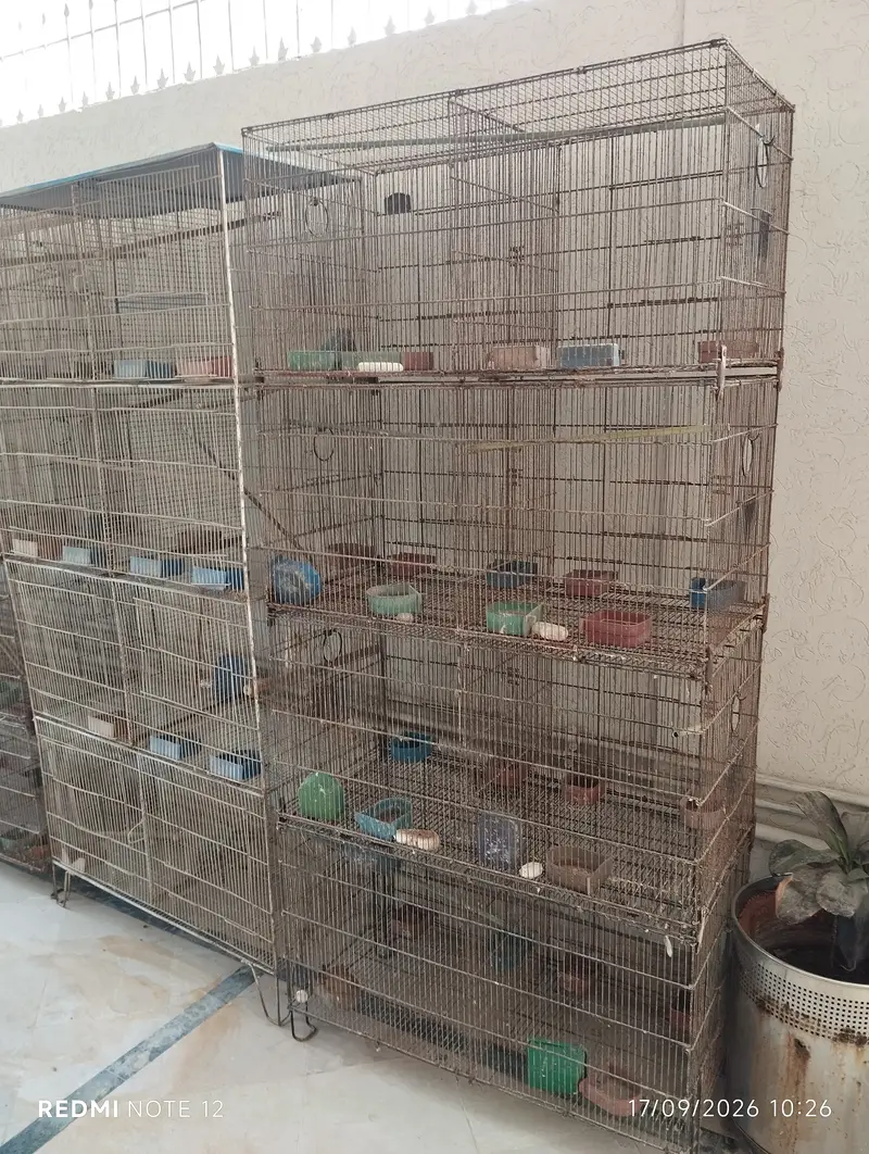 8-Portion Bird Cages | Special Offer — photo 6