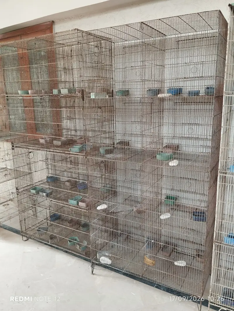 8-Portion Bird Cages | Special Offer — photo 7
