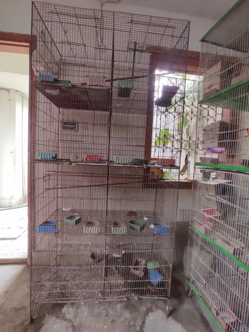 8-Portion Bird Cages | Special Offer — photo 9