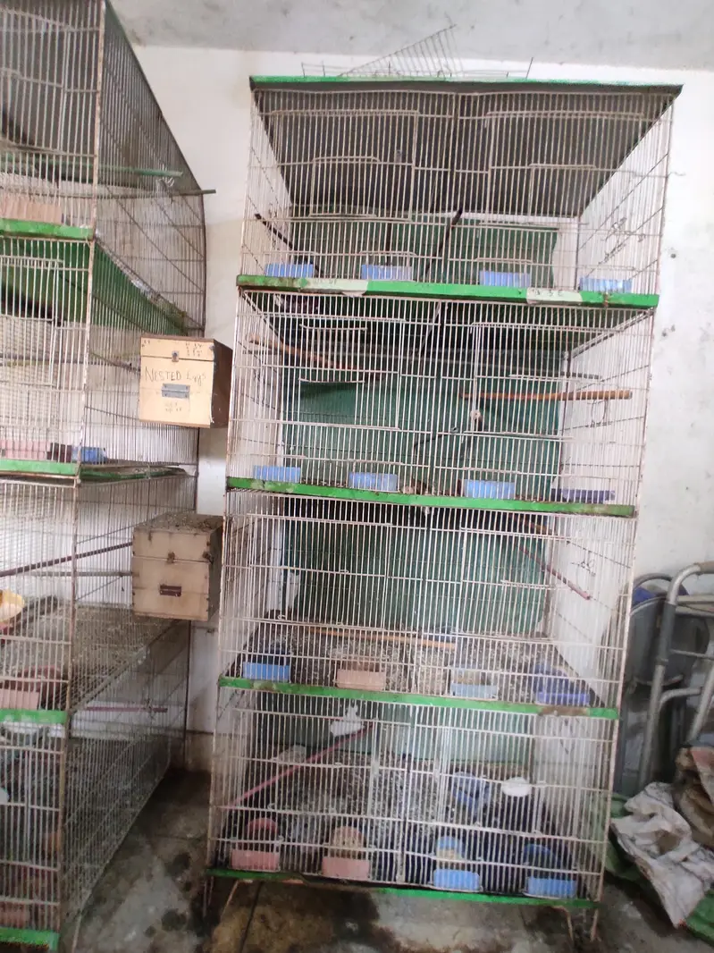 8-Portion Bird Cages | Special Offer — photo 10